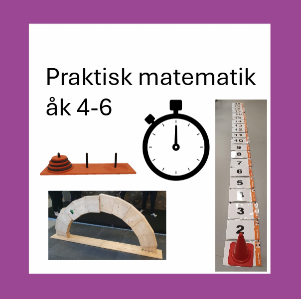 Praktisk matematik